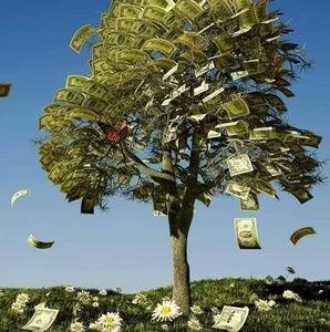 Meet your Posher, Raynold